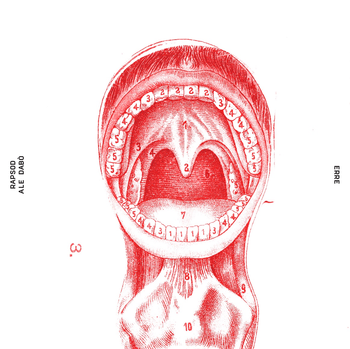 ERRE -R cover