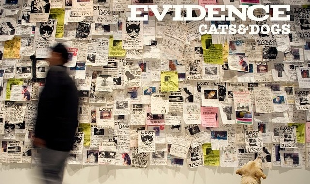 evidence cats and dogs