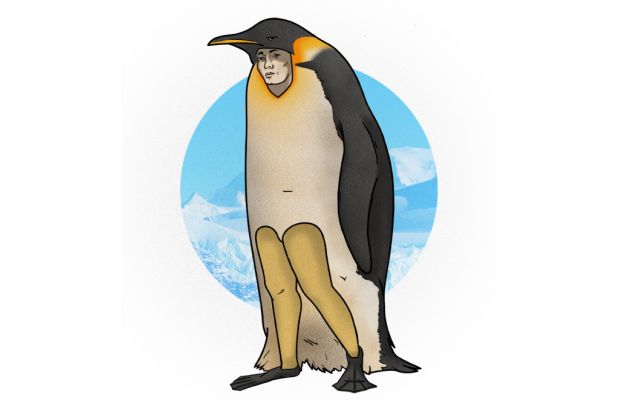 Eminemperor_Penguin