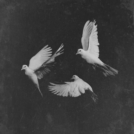 Pusha_T_Untouchable Pusha_T_Untouchable