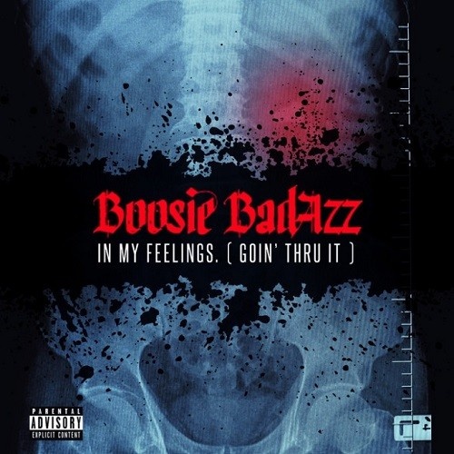 boosie-badazz-in-my-feelings boosie-badazz-in-my-feelings