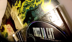 Un regalo da Fritz Da Cat: Novecinquanta su Youtube