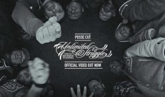 Unlimited Struggle - Posse Cut (video)