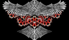 Rapcore - Dream Team EP