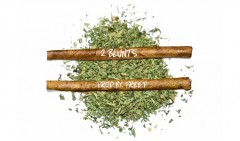 Two Blunts, l'inedito per il 4.20 di The Game e Wiz Khalifa