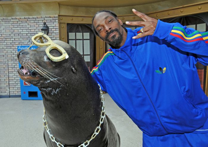 snoop-dogg-seal