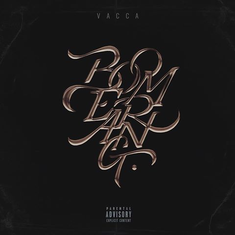 Vacca_Boomerang