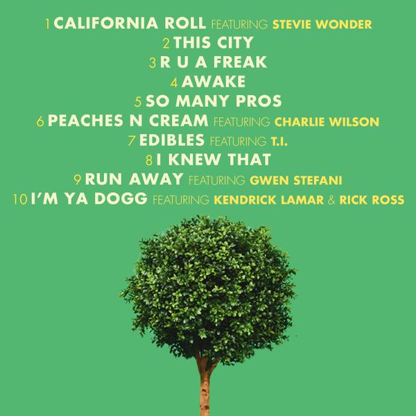 Bush_tracklist