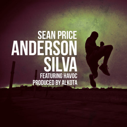 sean-price-anderson-silva sean-price-anderson-silva