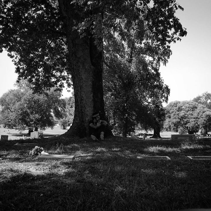 yelawolf-tree